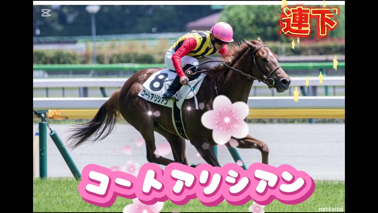 【阪神ジュベナイルフィリーズ】本気の競馬予想