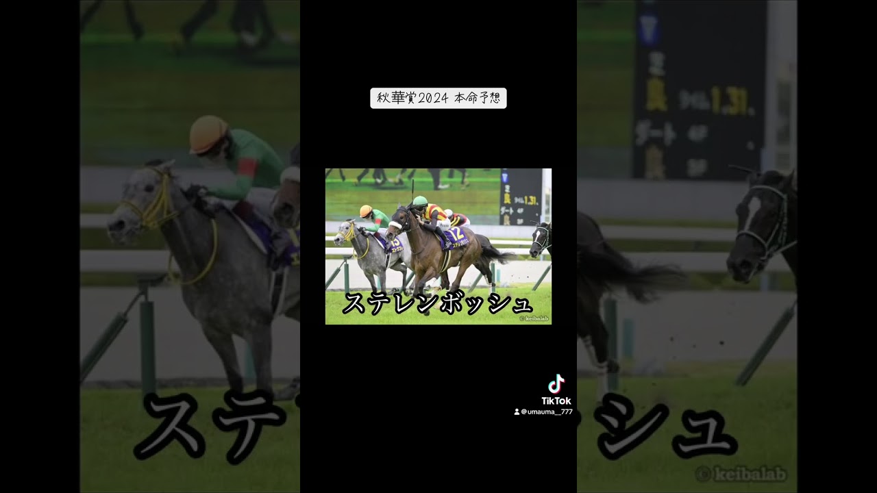 秋華賞予想動画