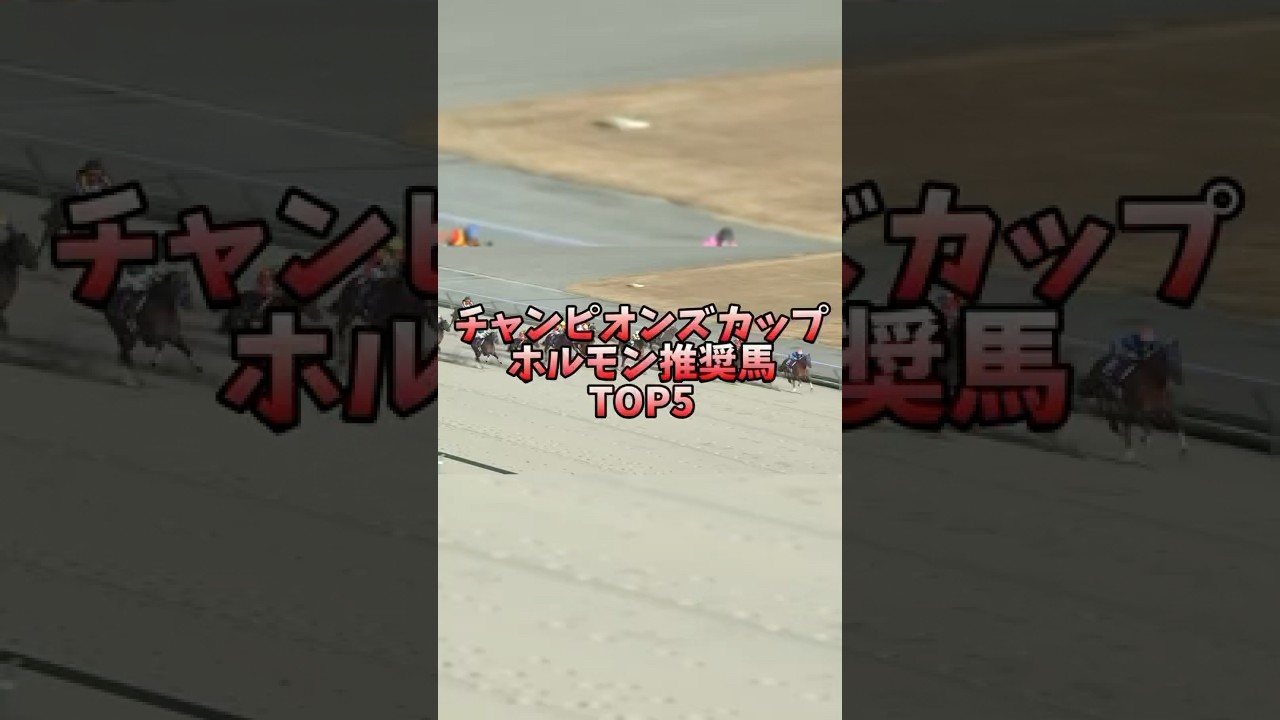 【競馬予想】チャンピオンズカップ2024 ホルモン推奨馬 #競馬 #チャンピオンズc #レモンポップ #坂井瑠星 #檸檬小姑娘littlelemongirl #擬宝珠檸檬 #伊藤甲子太郎 #がんばれ！