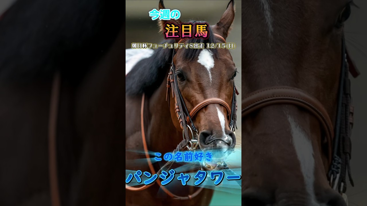 [朝日杯フューチュリティステークス (京都開催)注目馬)タイセイカレントの方がアルテヴェローチェより好感もてる#競馬 #競馬予想 #馬 #shorts #shortvideo