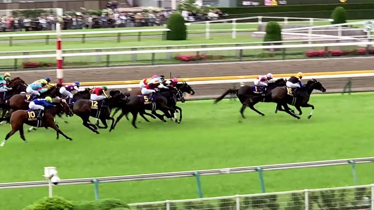 【最終版】第86回優駿牝馬オークスGI 2025.05.25 カムニャック桜花賞組撃破と東京競馬場風景