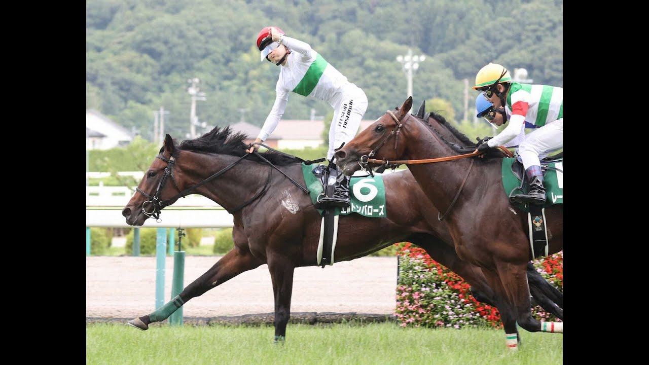 【競馬】GIII ラジオNIKKEI賞と函館記念やります