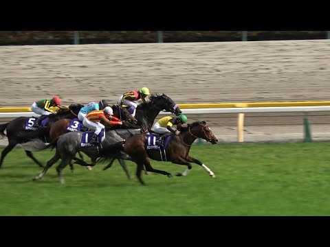 【NHKマイルカップ2025】パンジャタワー 松山弘平 武豊はインを突く神騎乗で2着！【現地レース映像】