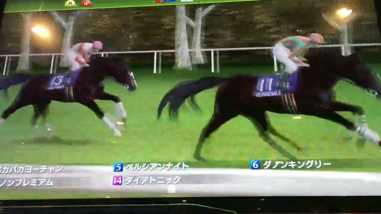 マイルチャンピオンシップ・G1