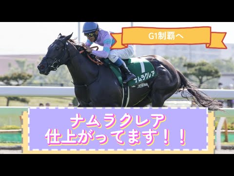 【スプリンターズS】ナムラクレア仕上がってます！！