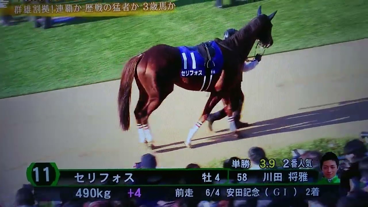 セリフォスのパドック#2023マイルチャンピオンシップ#セリフォス