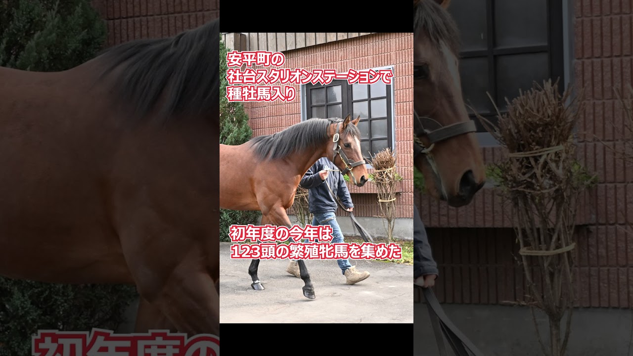 【風のたより】朝日杯FS勝ち馬グレナディアガーズ