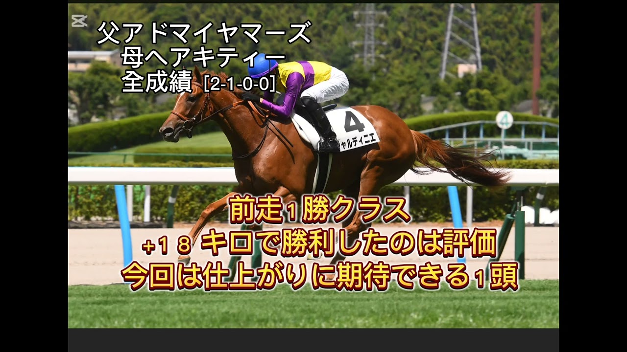 阪神ジュベナイルフィリーズ2024予想動画