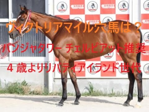ヴィクトリアマイル 人気の４歳よりリバティアイランド世代 パンジャタワー、チェルビアット推奨