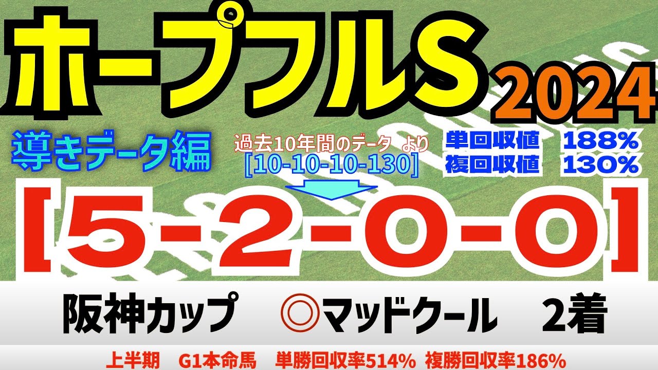 【ホープフルステークス2024】　導きデータ編　過去10年間のデータから導かれた馬とは！【データ傾向】【競馬予想】