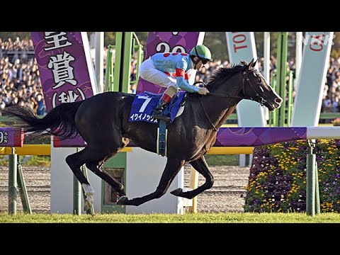 2023　天皇賞(秋) GⅠ　イクイノックス　Ｃ．ルメール