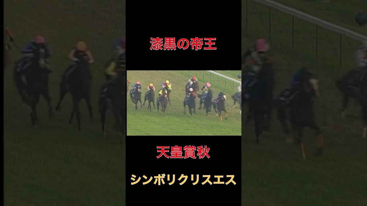 漆黒の帝王シンボリクリスエス【天皇賞秋】#シンボリクリスエス
