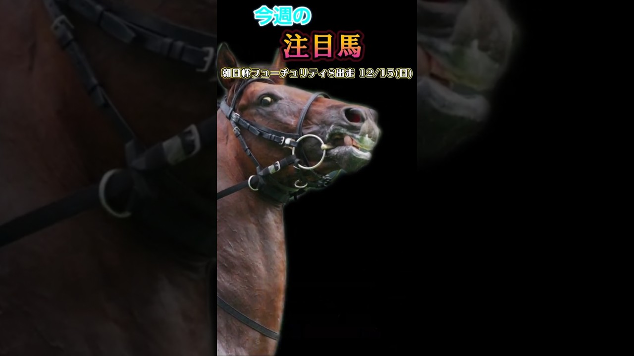 [朝日杯フューチュリティステークス (京都開催)注目馬)朝日杯フューチュリティスモーリス#競馬 #競馬予想 #馬 #shorts #shortvideo