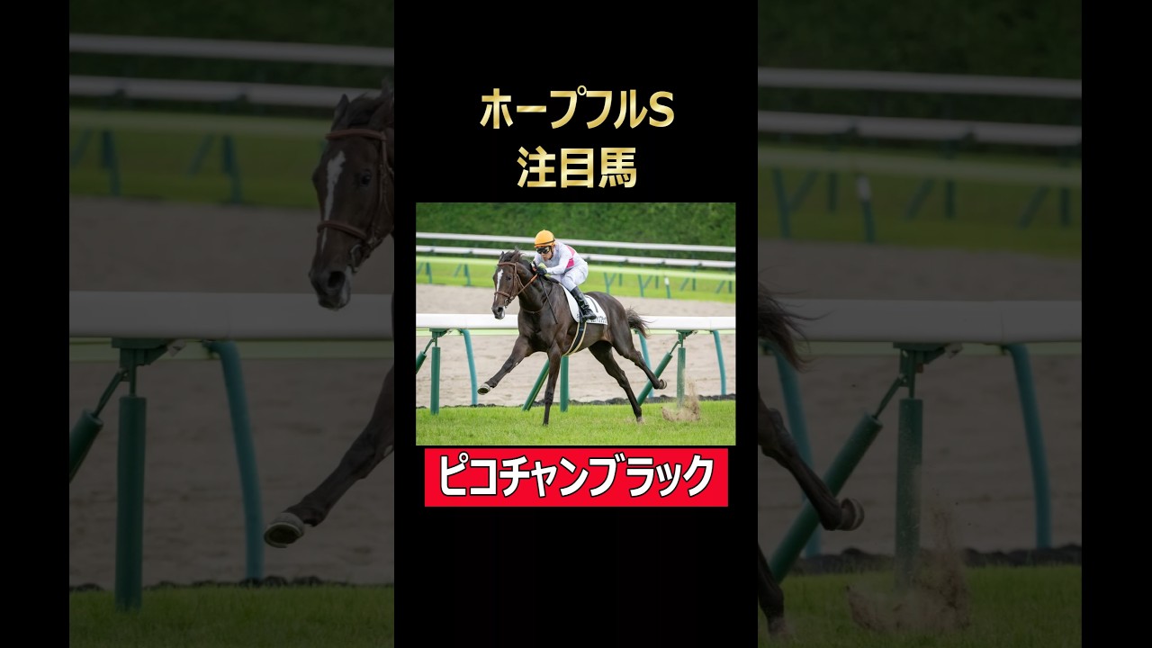 ホープフルS注目馬 ピコチャンブラック#競馬 #ウマ娘 #ホープフルステークス #ピコチャンブラック