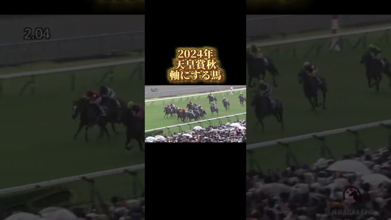 天皇賞秋 2024 軸にする馬#天皇賞秋 #ジャスティンパレス