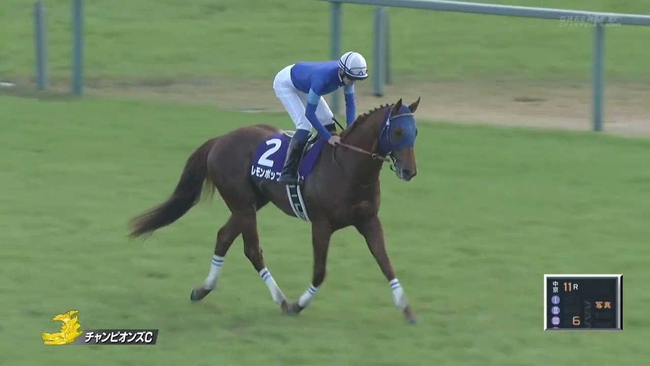 2024年チャンピオンズC　レモンポップ