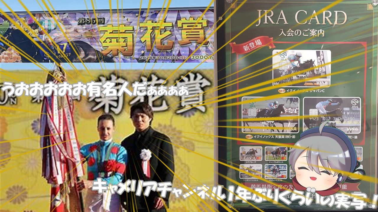 【菊花賞2024】【ゆっくり実況】人生初競馬！菊花賞芝3000m