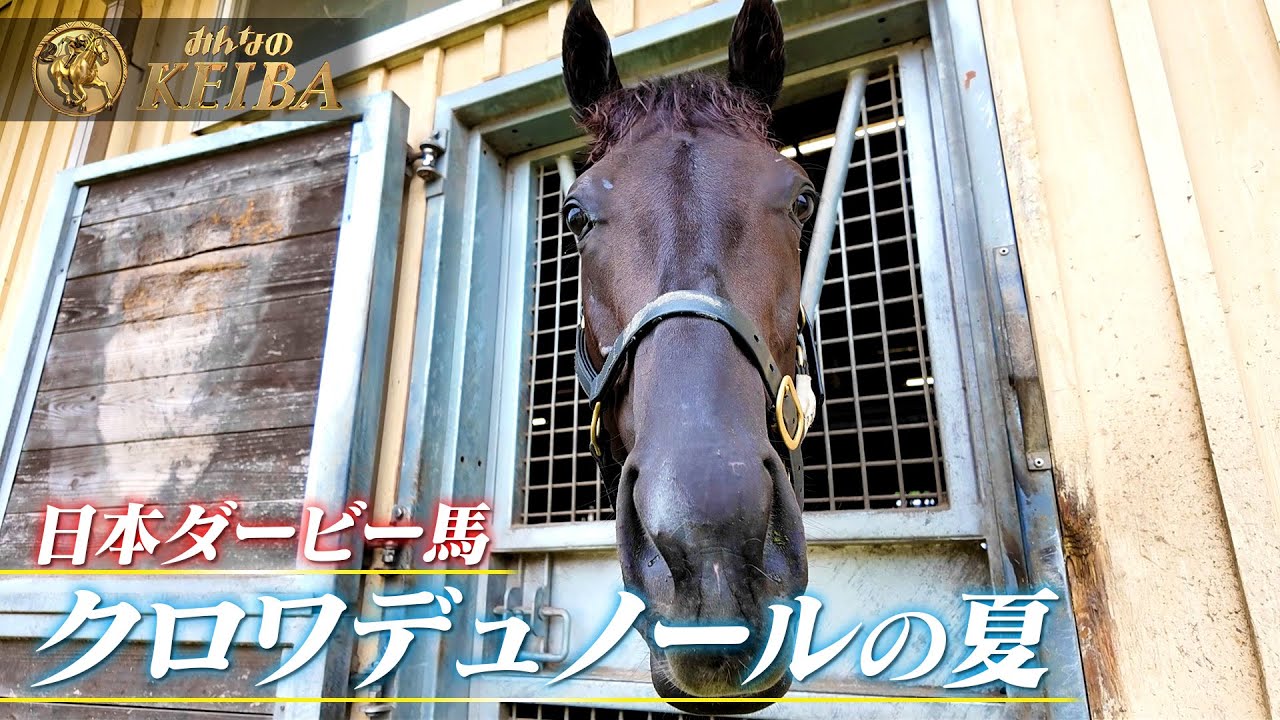【10.5 凱旋門賞へ】日本ダービー馬・クロワデュノールの夏