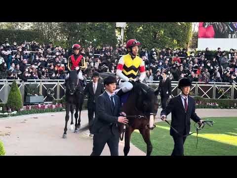 【ホープフルステークス2024】パドック5 クロワデュノール　北村騎手　騎乗