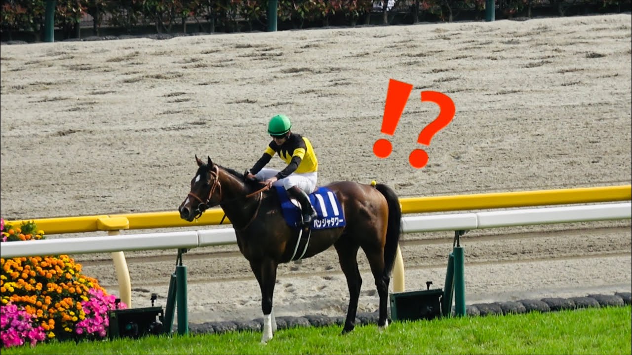 お花に見惚れてウイニングラン中断！？ 場内を沸かせるパンジャタワーと松山弘平【NHKマイルカップ2025 現地】