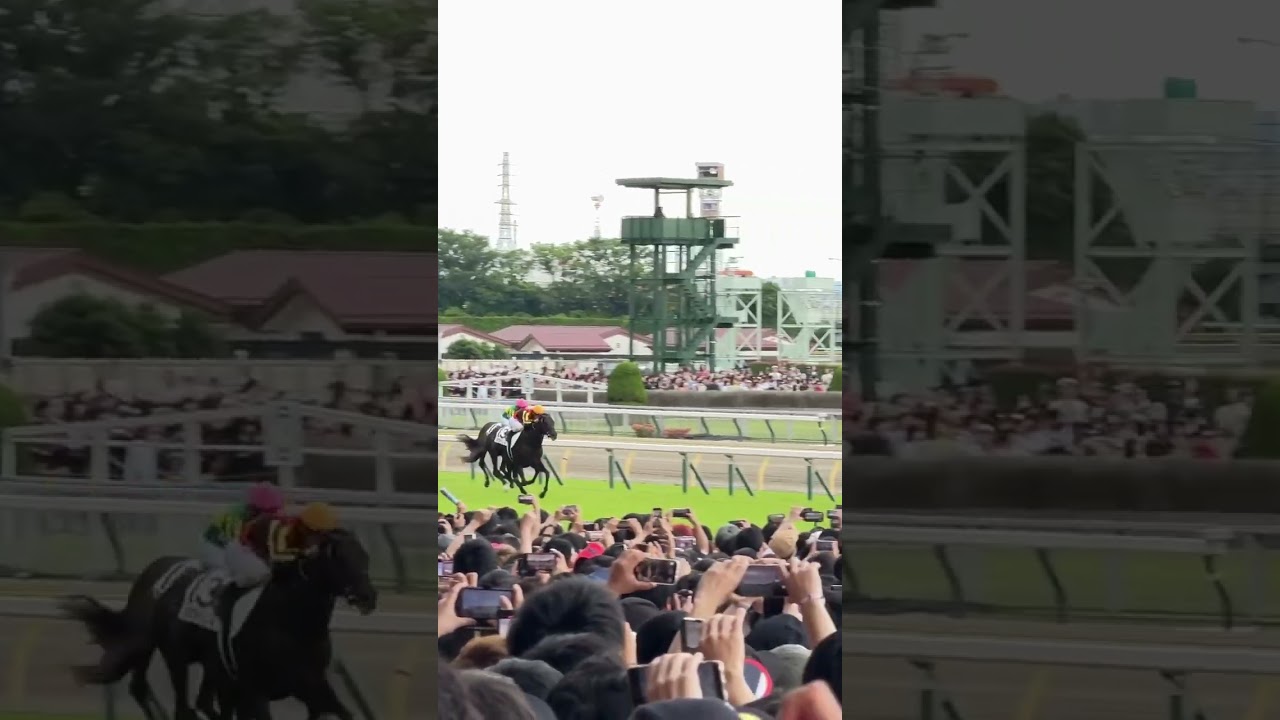 第92回日本ダービー　クロワデュノール優勝シーン　#日本ダービー #東京優駿