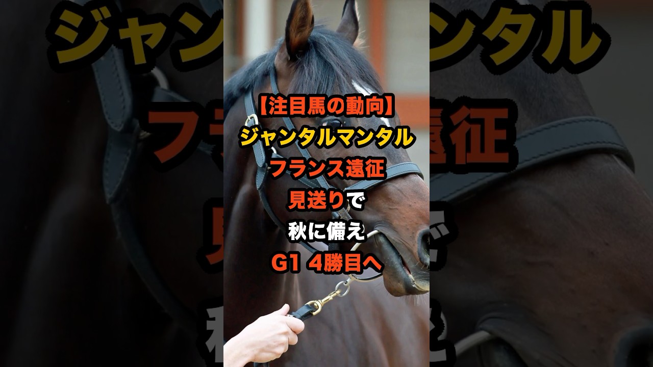 【欧州回避の真相】ジャンタルマンタル、まさかのフランス遠征見送り！秋G1・4勝目への戦略とは…#競馬 #ジャンタルマンタル #マイルCS #G1