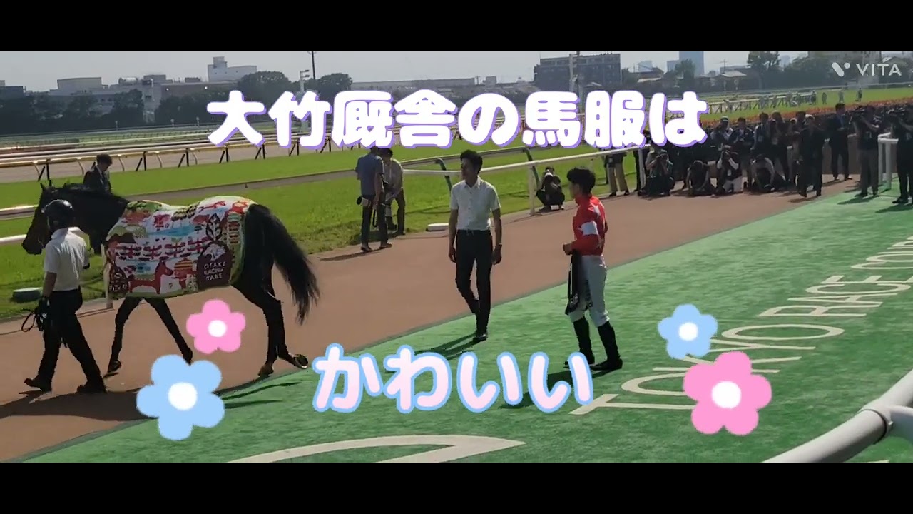 【菊花賞を狙える】レッドバンデが稲城特別(東京芝2400)を快勝❗パドック、本馬場入場、レース、口取りの様子