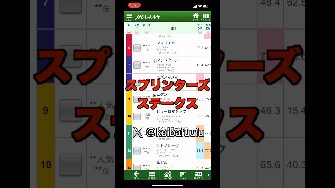スプリンターズステークス【2024】本命馬はこの馬だ！ハチワレ予想 #競馬予想 #競馬 #スプリンターズステークス #shorts