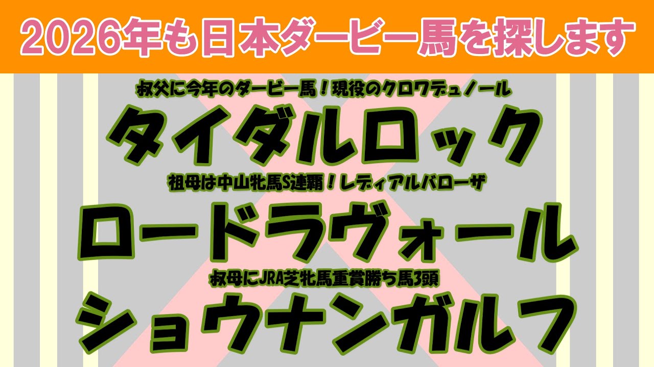 2026年も日本ダービー馬を探します #5　先週の芝中距離の新馬戦を圧勝したタイダルロック、ロードラヴォール、ショウナンガルフを注目馬として取り上げました。