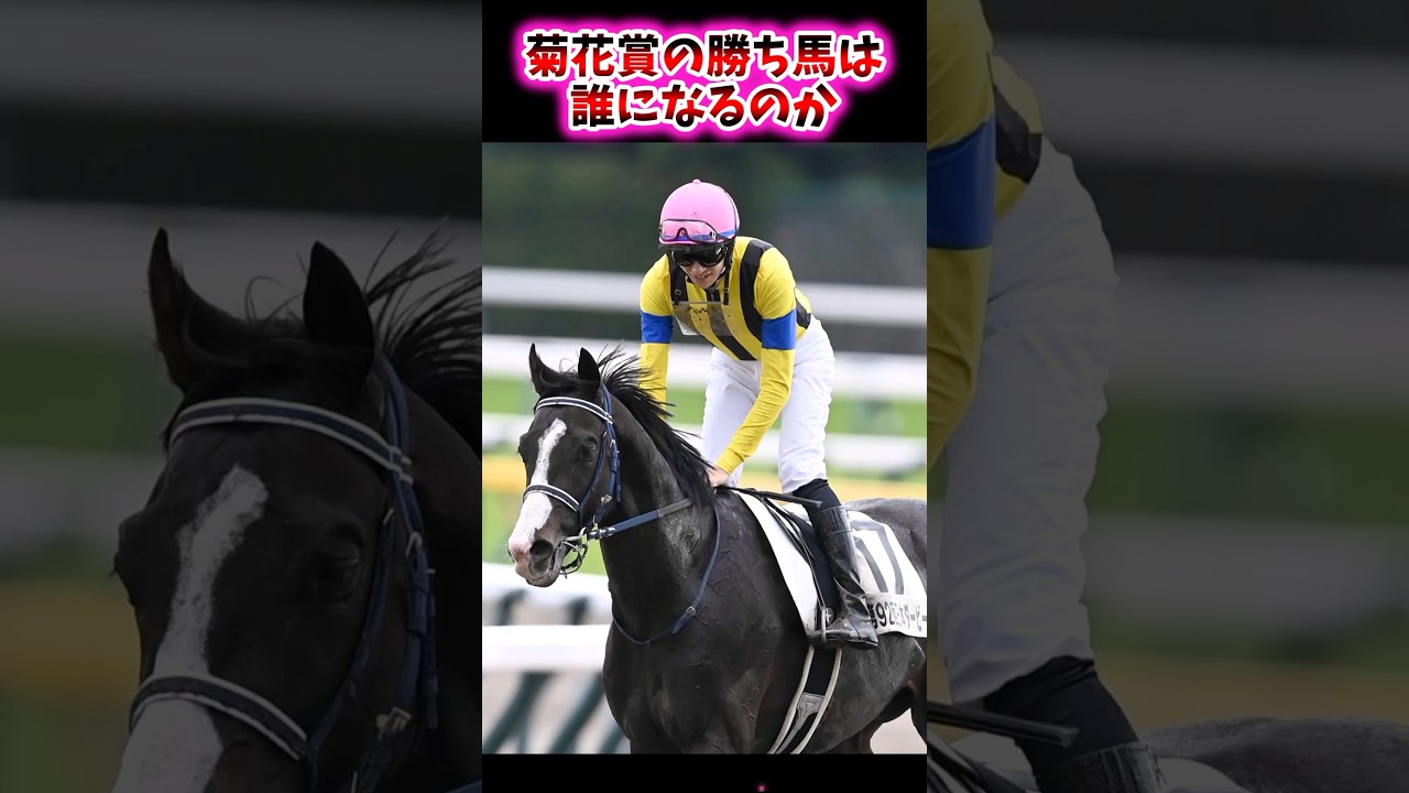菊花賞の勝ち馬は誰になるのか【競馬反応集】 #菊花賞