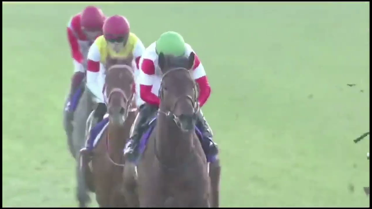 2020年 第37回 ホープフルステークス(G1)(ダノンザキッド、川田 将雅)