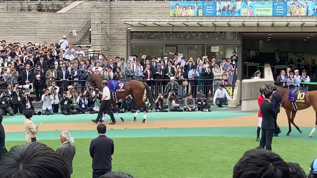 2025年 第86回優駿牝馬（オークス） パドック