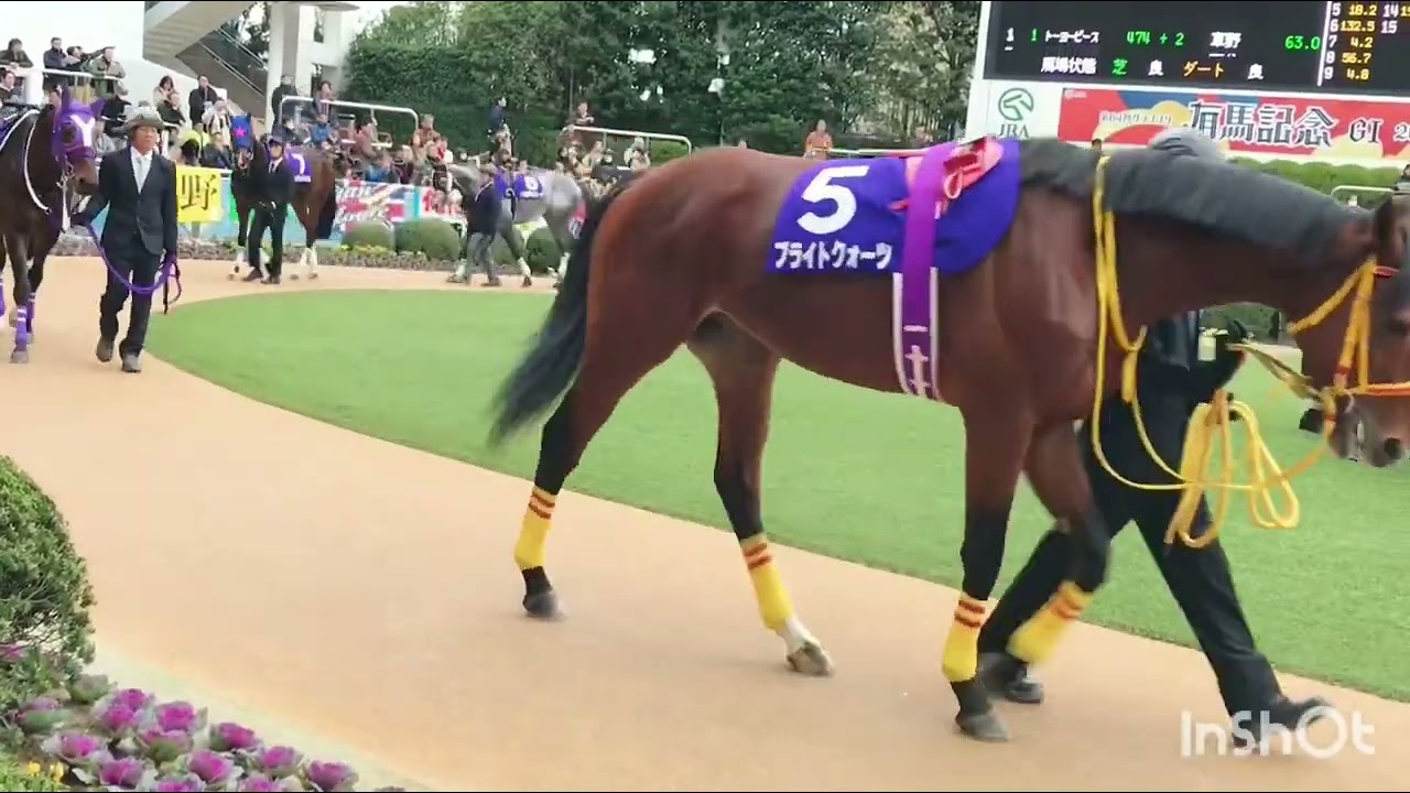 2019、12、21 中山大障害　シングンマイケル
