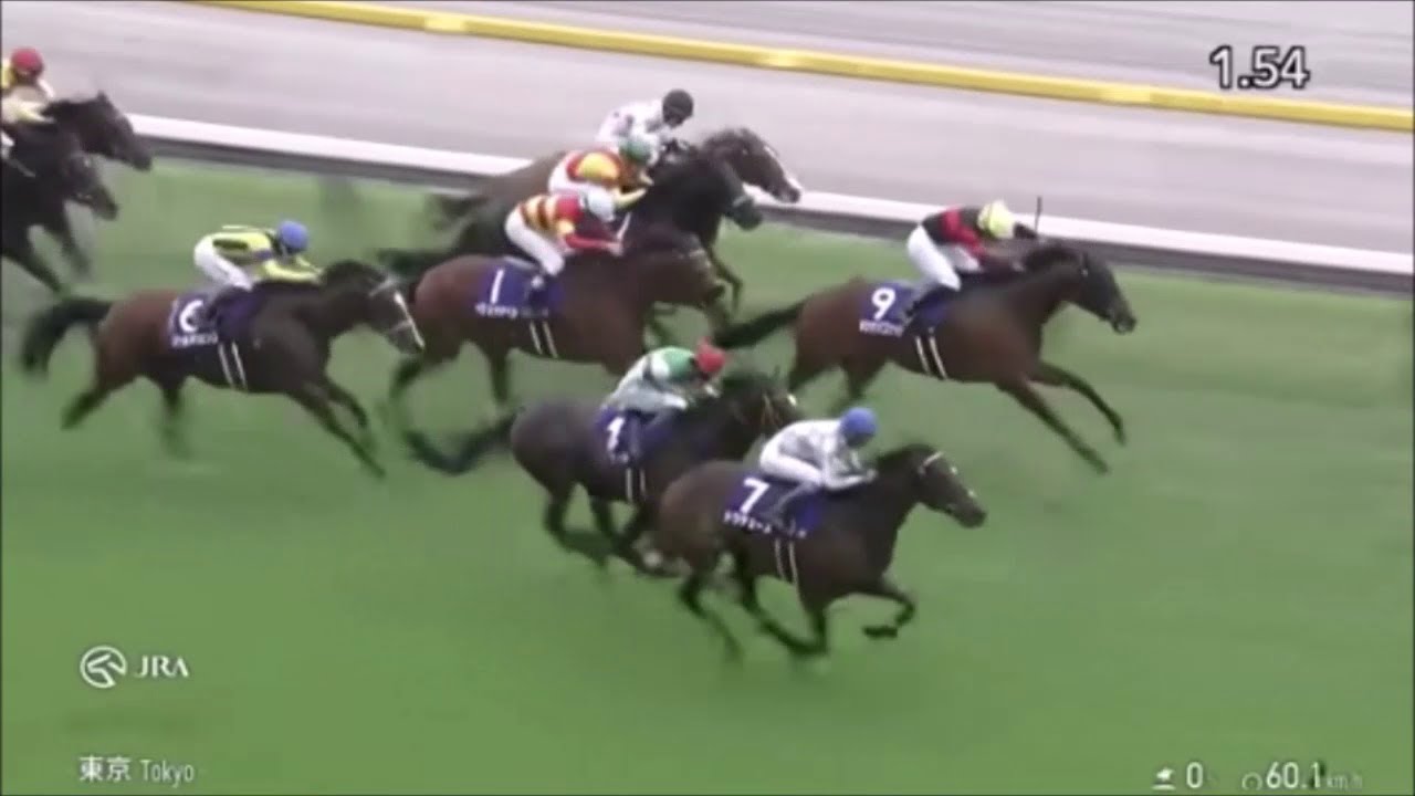 2024年天皇賞秋　トウデュース　名馬は何度でも蘇る！　～実況･ラジオ日本