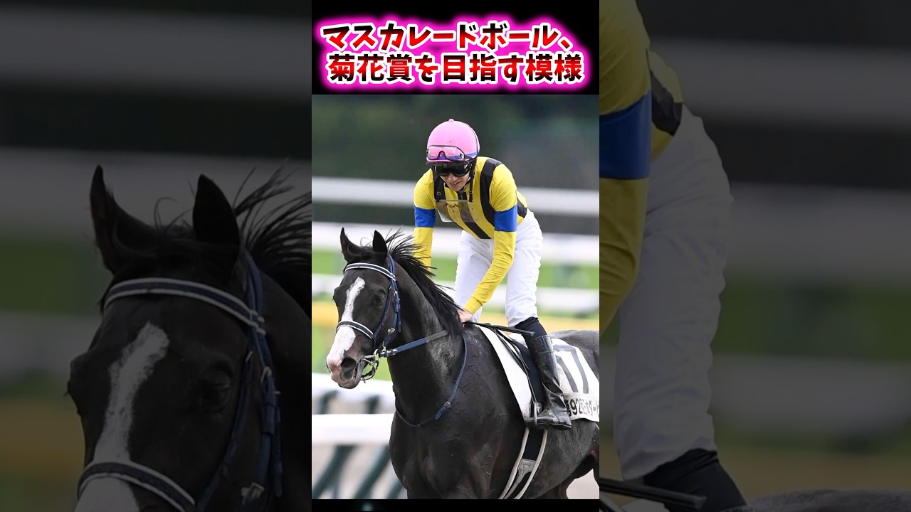 マスカレードボール、菊花賞を目指す模様【競馬反応集】 #マスカレードボール #菊花賞 #坂井瑠星