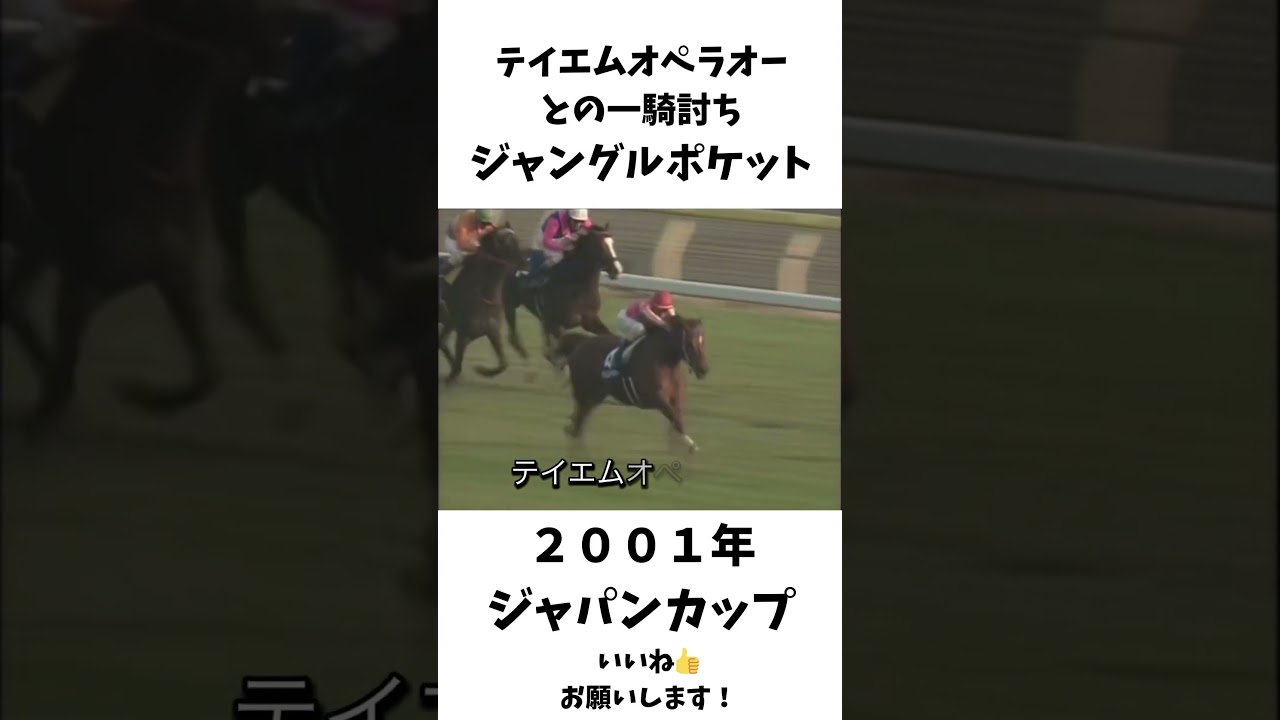 ジャングルポケットとテイエムオペラオーの一騎打ち！ #競馬 #shorts #ジャパンカップ