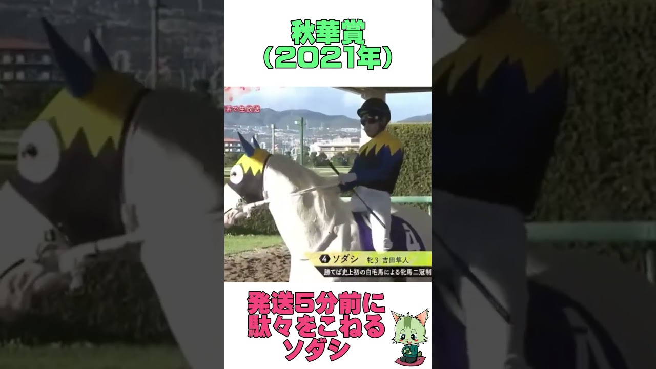 #競馬 #JRA #秋華賞 #ソダシ #白馬 #白毛