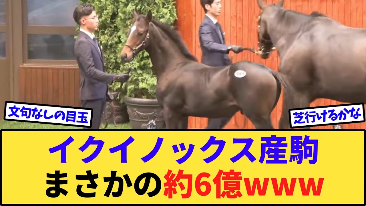 【速報】イクイノックス産駒、5億8000万円で落札www