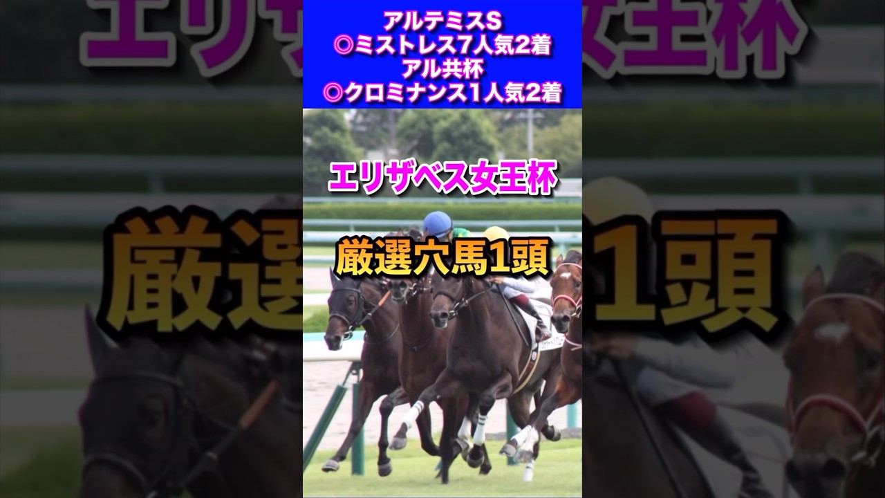 【エリザベス女王杯2024】厳選穴馬1頭