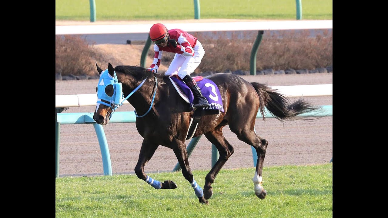 2021 中山大障害 JG1 オジュウチョウサン