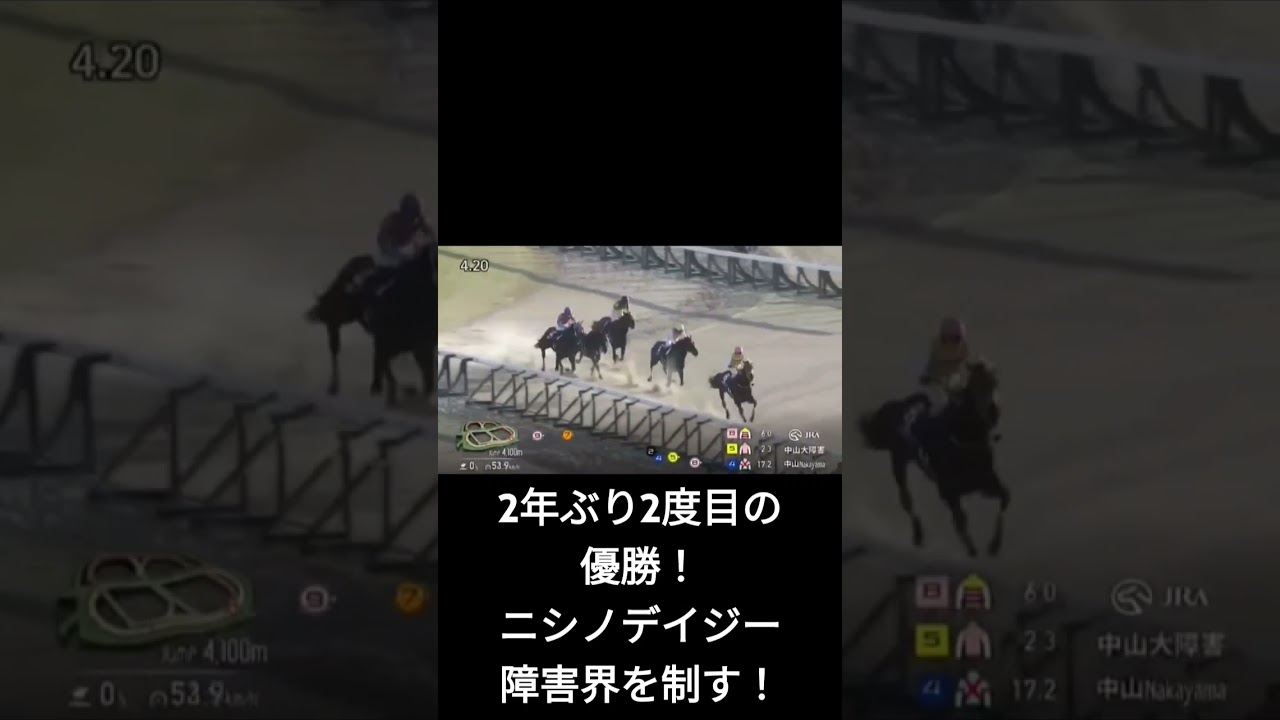 ショートで第147回農林水産省賞典中山大障害#shorts