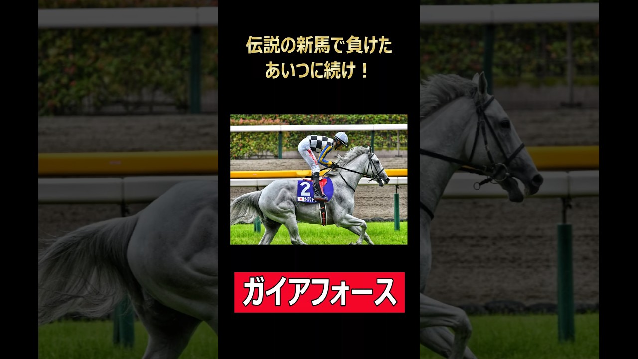 ドウデュースに続け！ガイアフォース！ #競馬 #ウマ娘 #チャンピオンズカップ #ドウデュース #ガイアフォース #キタサンブラック