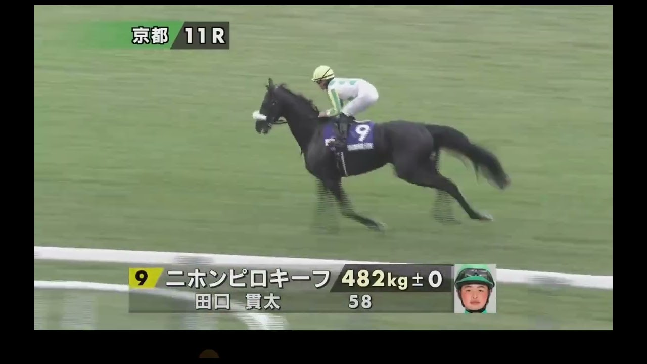【京都場内ver】京都11R マイルCS《G1》本馬場入場