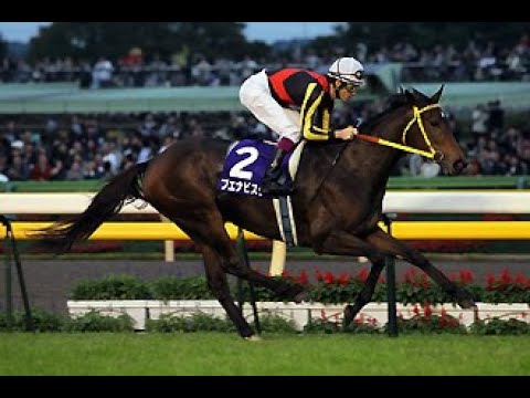 2010　天皇賞秋 GⅠ　ブエナビスタ　Ｃ．スミヨン