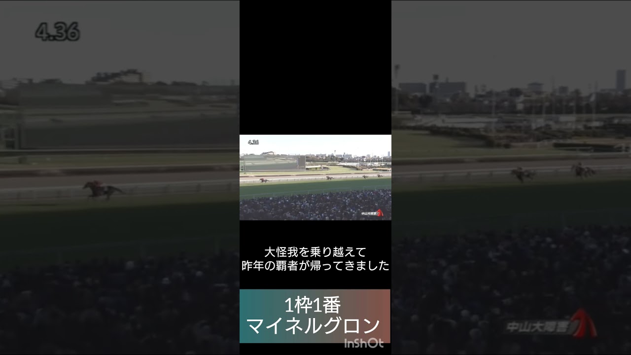 中山大障害出走馬　＃中山大障害