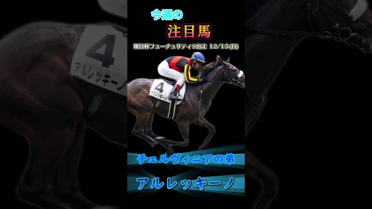 [朝日杯フューチュリティステークス (京都開催)注目馬)朝日杯フューチュリティステーク#競馬 #競馬予想 #馬 #shorts #shortvideo