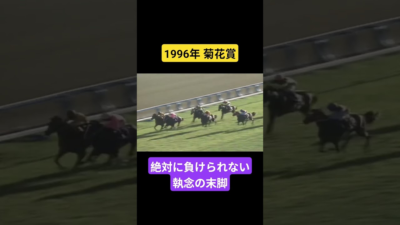【1996年菊花賞】深秋の淀を駆けた黒い閃光、死闘の果てに掴んだ最後の一冠 #競馬 #ダンスインザダーク#武豊#菊花賞#shorts