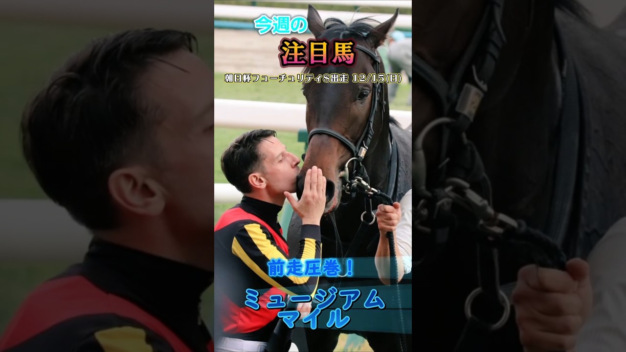[朝日杯フューチュリティステークス (京都開催)注目馬)朝日杯フューチュリティステーク今週も大野さんのとこか?#競馬 #競馬予想 #馬 #shorts #shortvideo