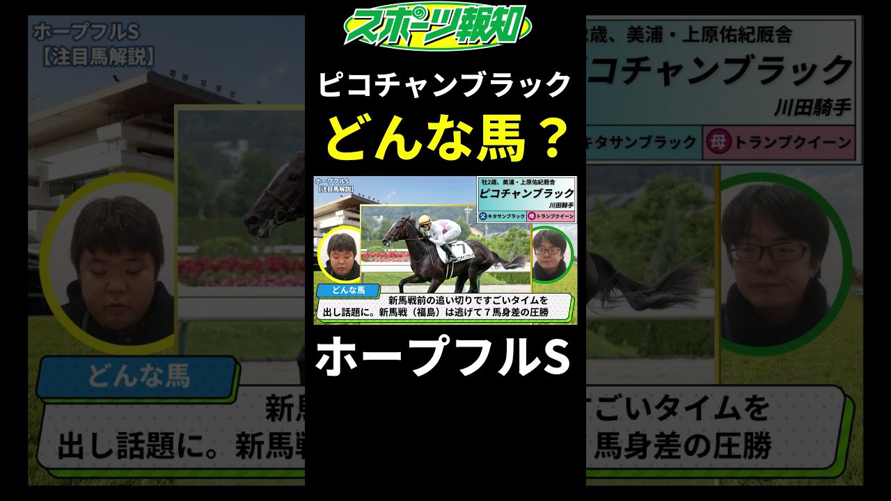 【ホープフルステークス2024】血統が超優秀！ピコチャンブラックってどんな馬？