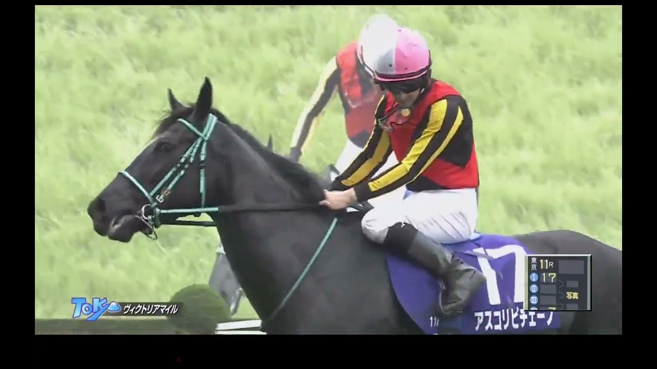 【煽りV入りフルver】東京11R ヴィクトリアマイル《G1》